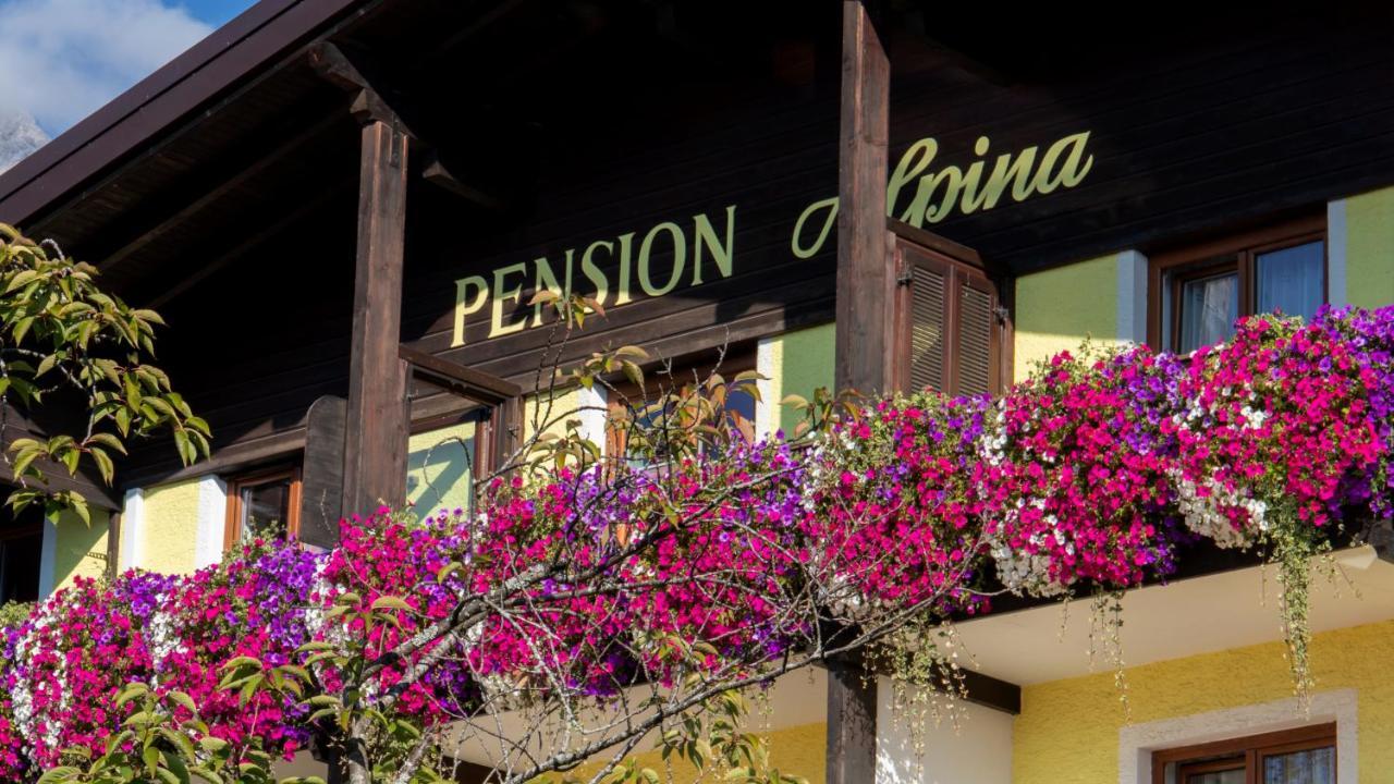 אינסברוק Cafe Pension Alpina מראה חיצוני תמונה