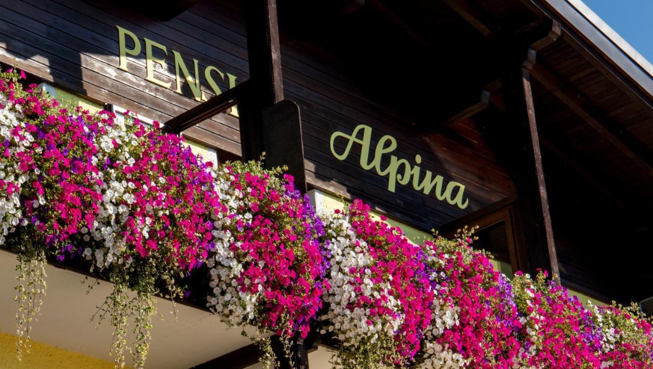 אינסברוק Cafe Pension Alpina מראה חיצוני תמונה